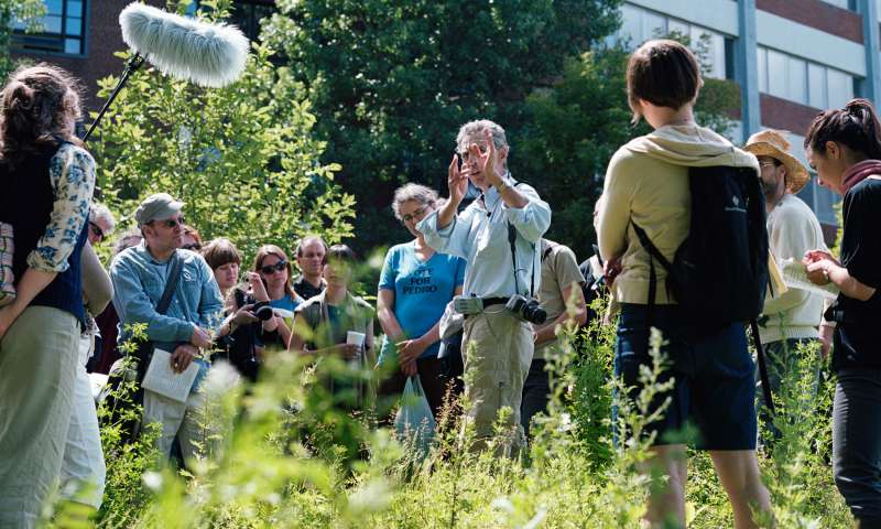 Theme 2: Participative Ecosystems