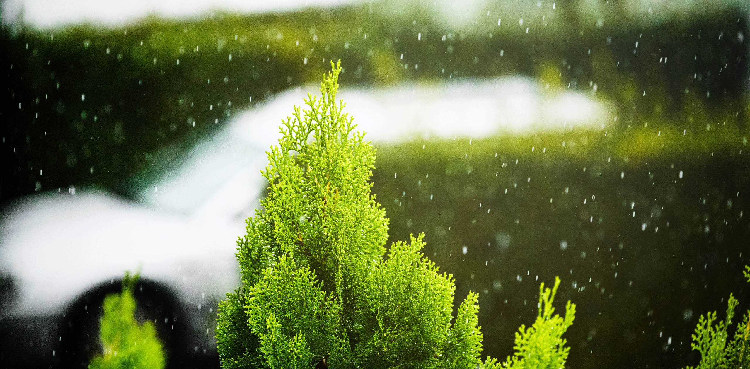 A more sustainable business by design
