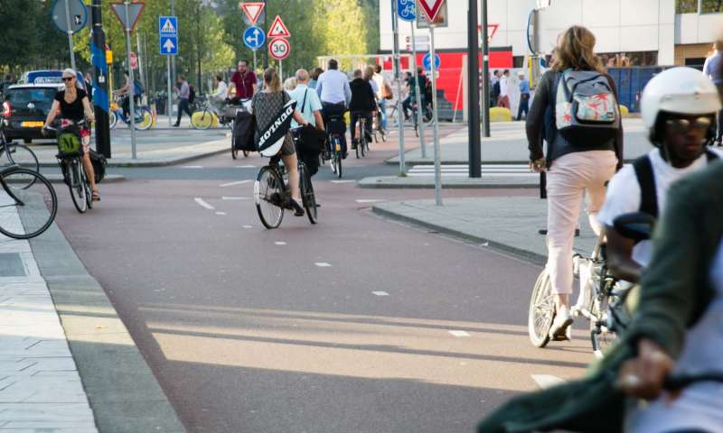 Unified transport experiences for smooth journeys